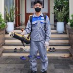 Dịch Vụ Phun Côn Trùng Chuyên Nghiệp Tại Đà Nẵng