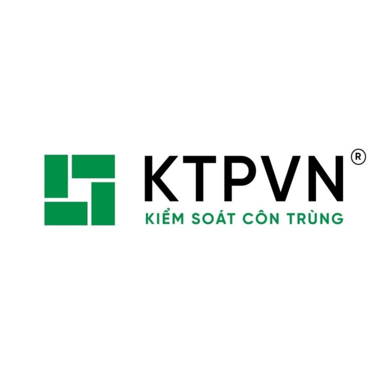 Dịch vụ diệt mối tận gốc chuyên nghiệp tại Quy Nhơn – Giải pháp bảo vệ nhà bạn an toàn tuyệt đối
