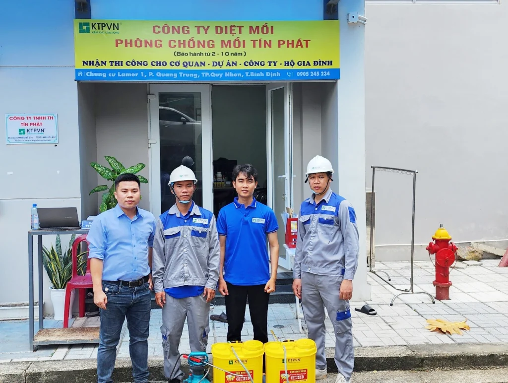Dịch vụ diệt mối