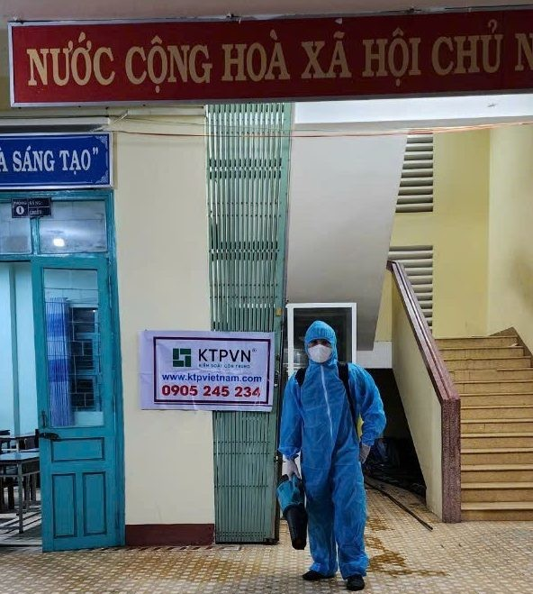 Giải Pháp Diệt Mối Hiệu Quả Cho Trường Học