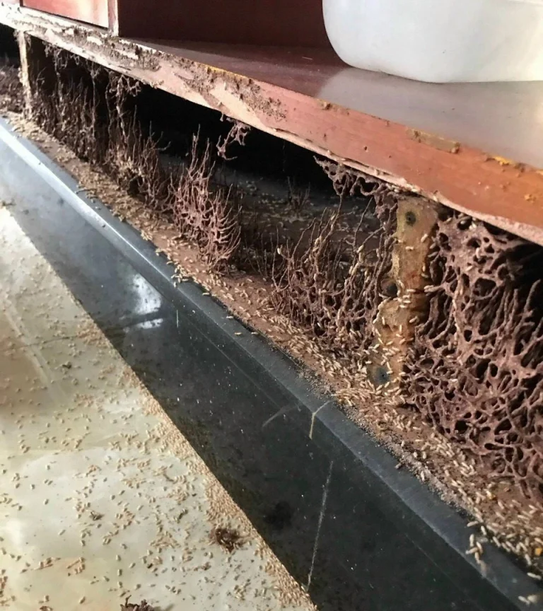 Giải Pháp Chủ Động Bảo Vệ Tài Sản Dài Lâu